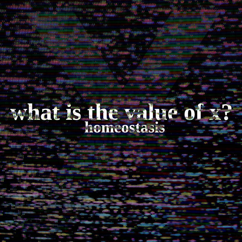 What Is the Value of X?